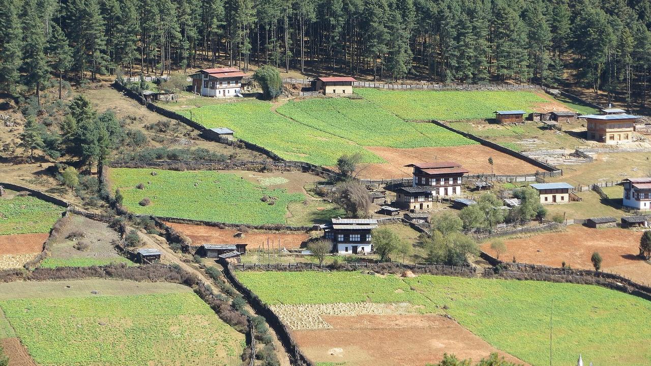 Bhutan Birding & Black-Necked Crane Tour – 9 Days — photo 1