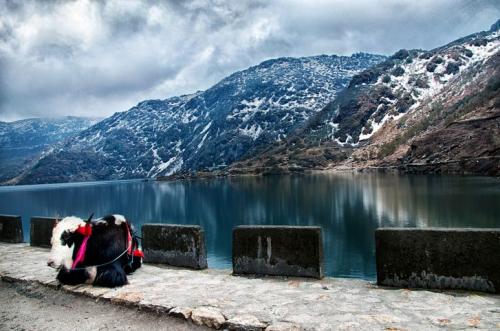 Sikkim