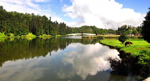 Mirik