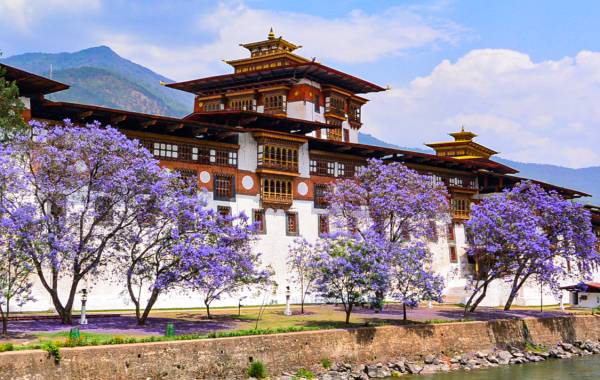 Bhutan Tour Booking - Global Safari Tours and Treks