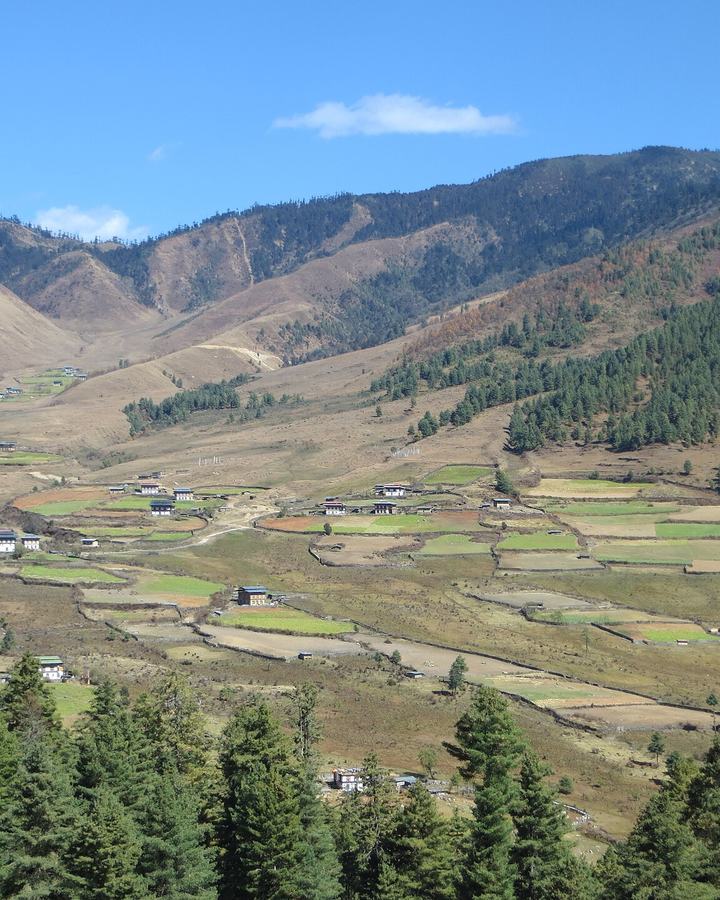 Phobjikha, Bhutan