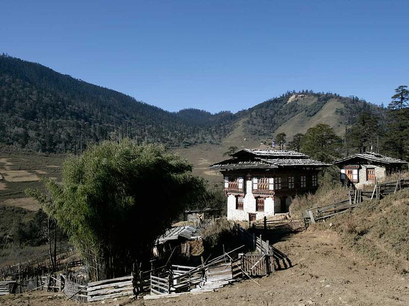 Hiking and Camping Tour in Bhutan